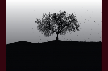 Мультиметр